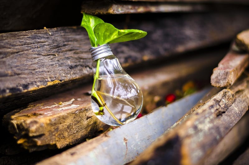 Upcycled Items